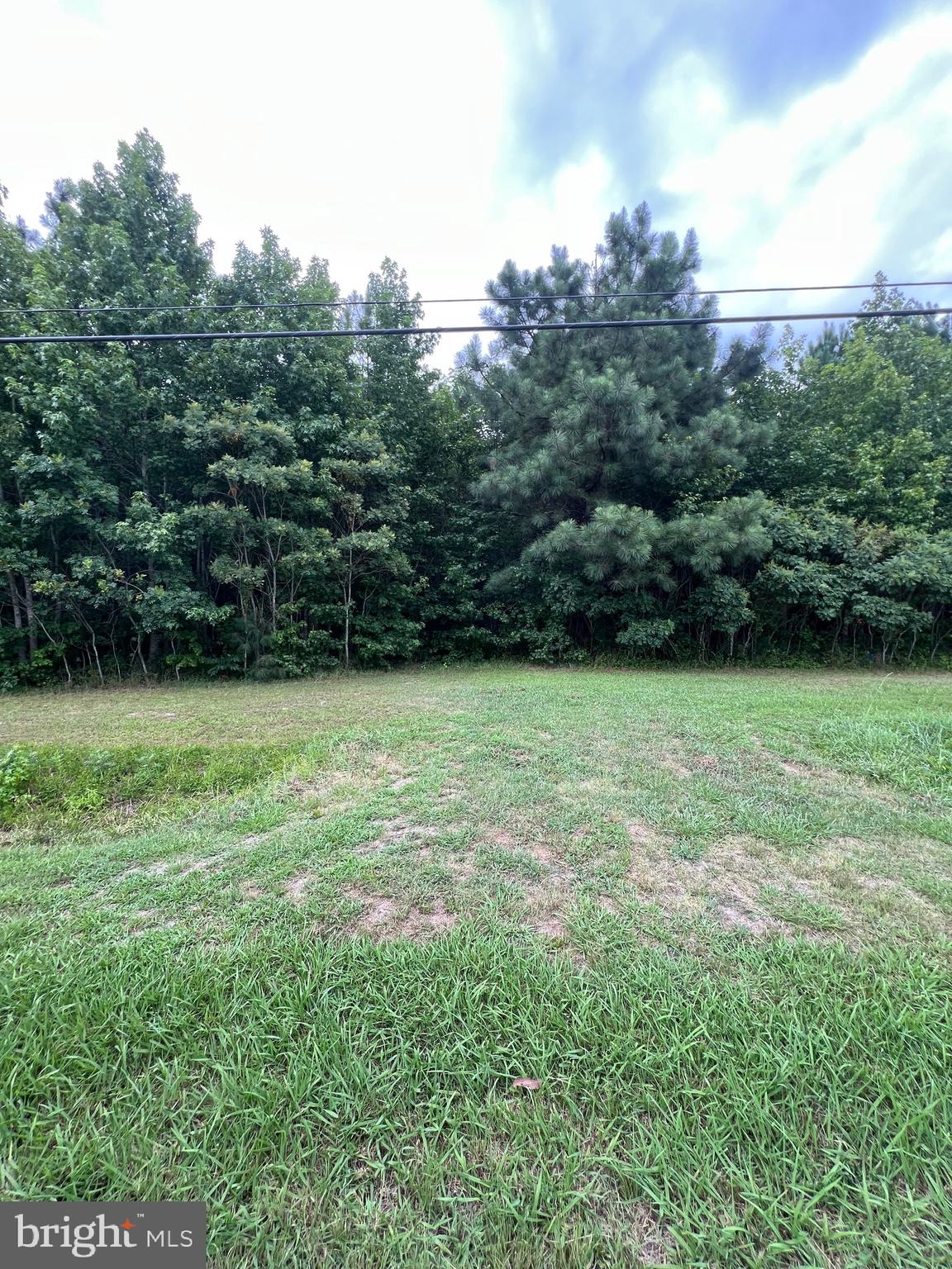 0 Nanticoke Road Quantico, MD 21856 - Photo 2 of 6 a view of a garden
