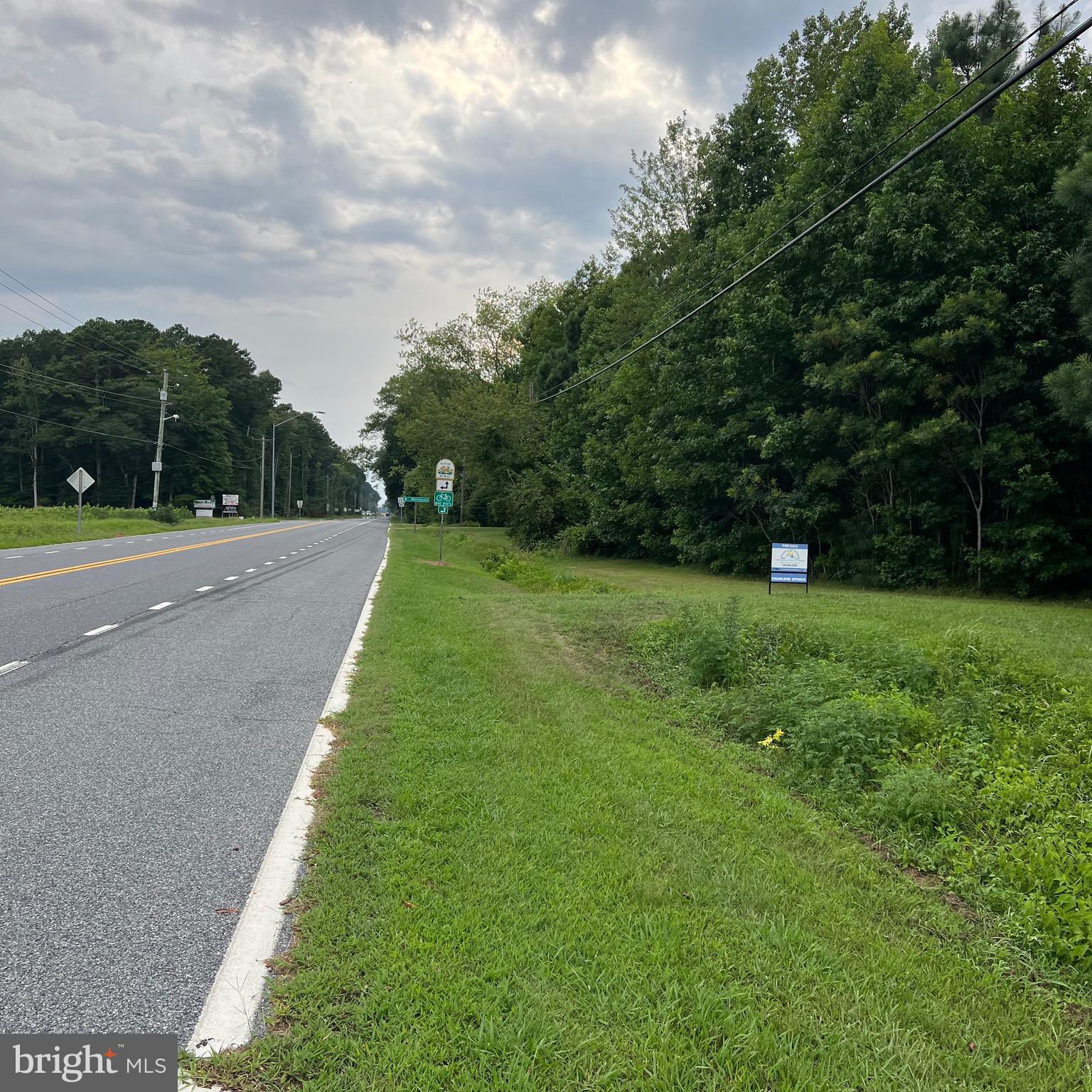 0 Nanticoke Road Quantico, MD 21856 - Photo 3 of 6 a view of a golf course