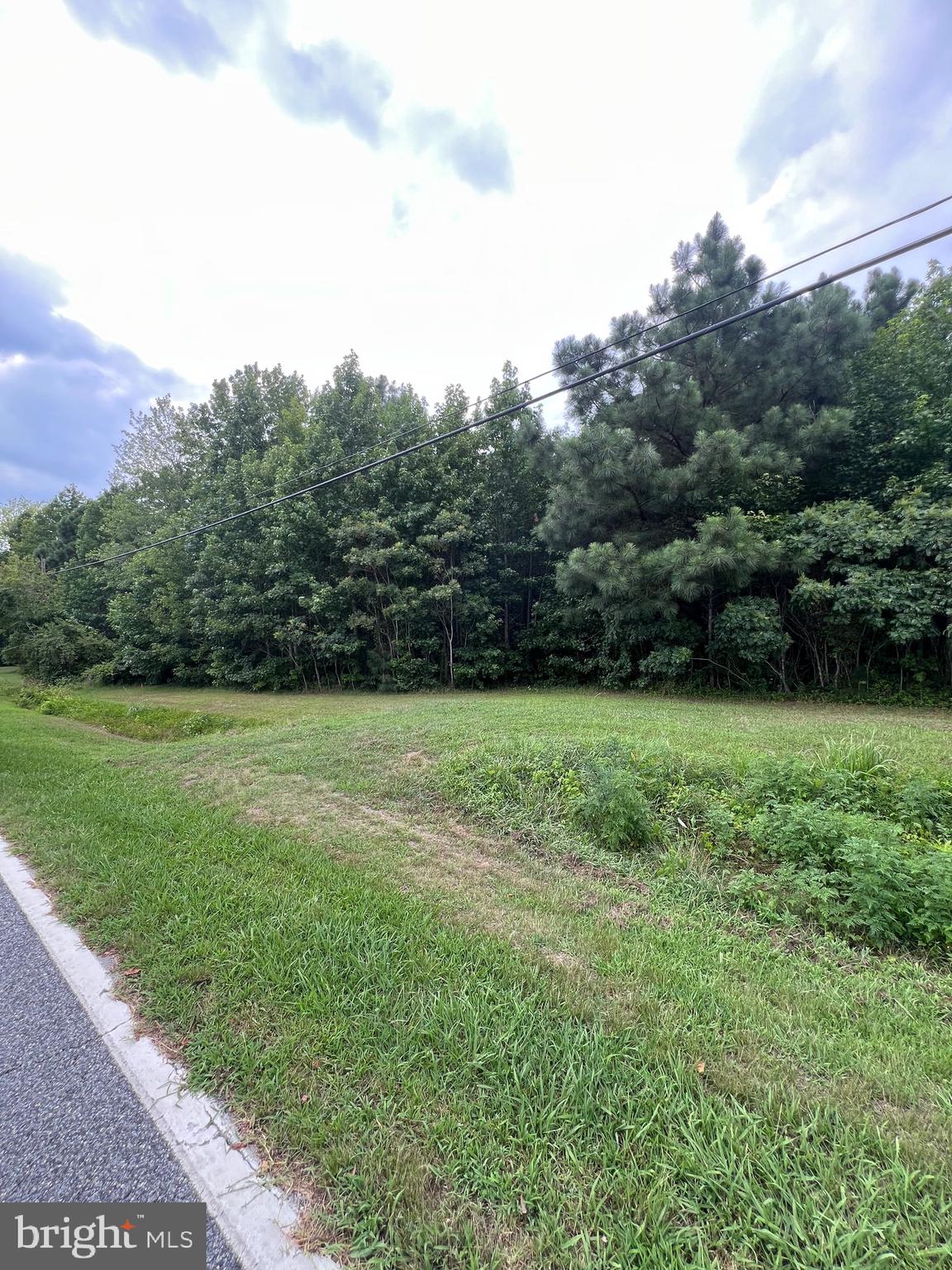 0 Nanticoke Road Quantico, MD 21856 - Photo 5 of 6 a view of a yard