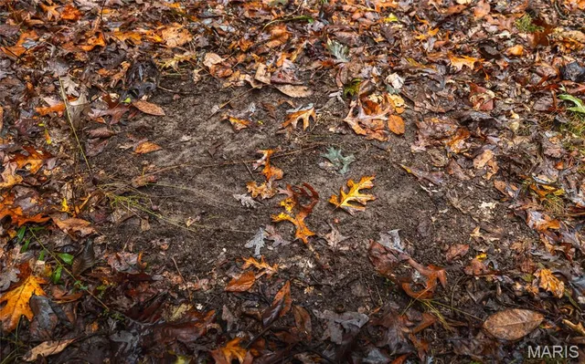 $215,000 | 6 Lodge Road, Potosi, MO 63664