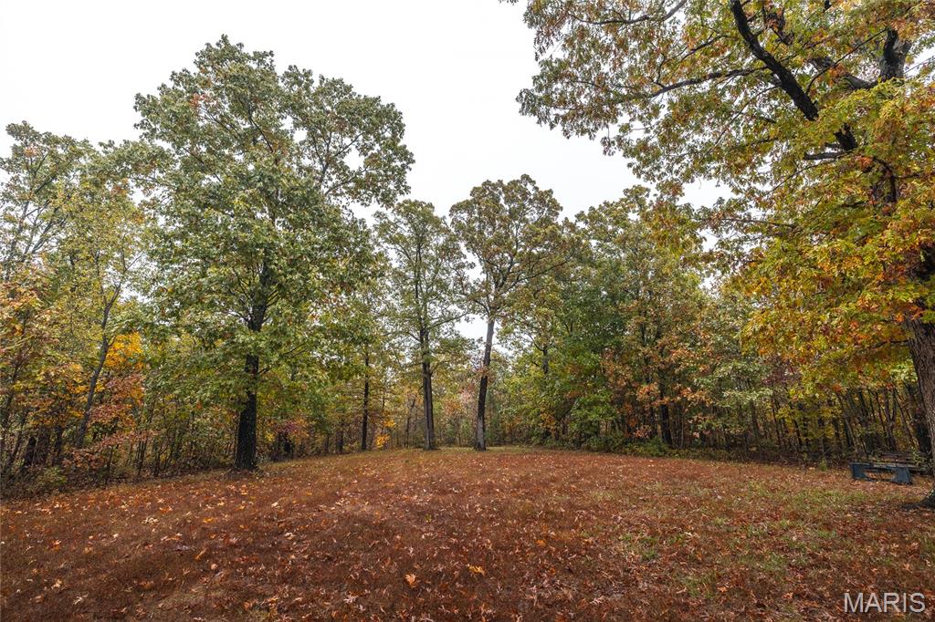 6 Lodge Road Potosi, MO 63664 - Photo 25 of 30