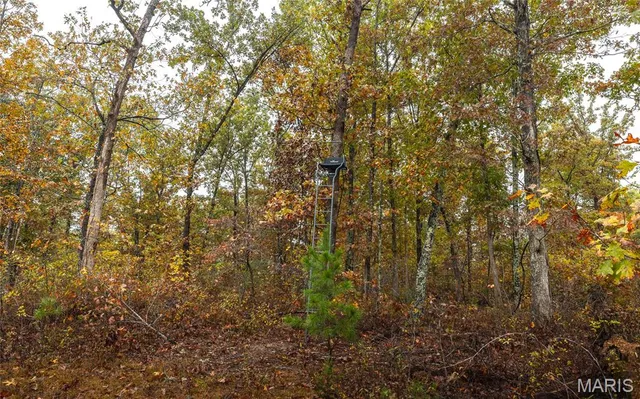 $215,000 | 6 Lodge Road, Potosi, MO 63664