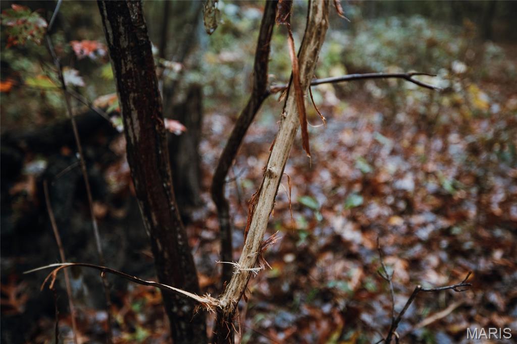 6 Lodge Road Potosi, MO 63664 - Photo 3 of 30