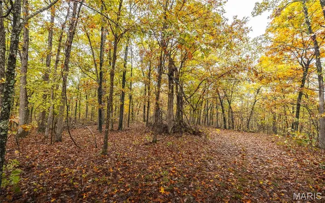 $215,000 | 6 Lodge Road, Potosi, MO 63664