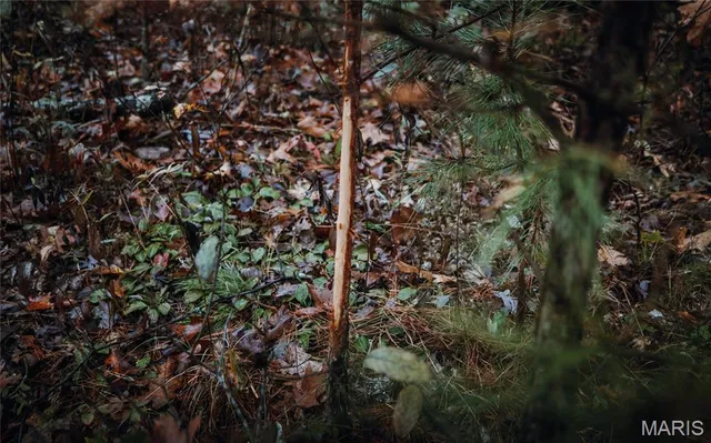 $215,000 | 6 Lodge Road, Potosi, MO 63664