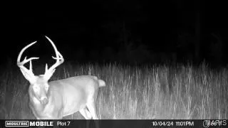 $215,000 | 6 Lodge Road, Potosi, MO 63664