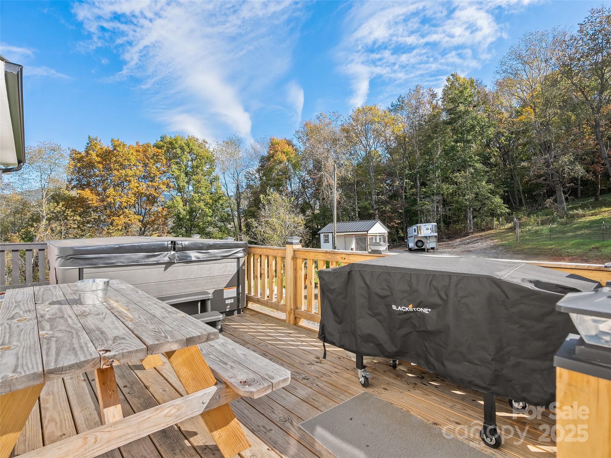 303 Johnson Farm Road Canton, NC 28716 - Photo 4 of 43