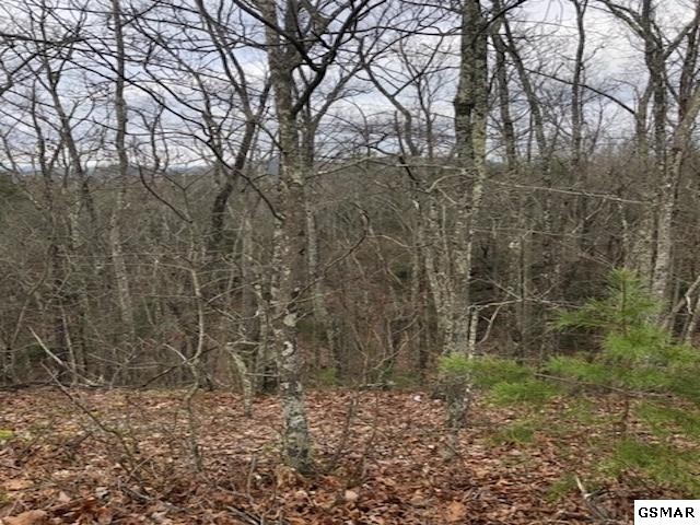 42 Harvest Moon Road Sevierville, TN 37863 - Photo 3 of 5