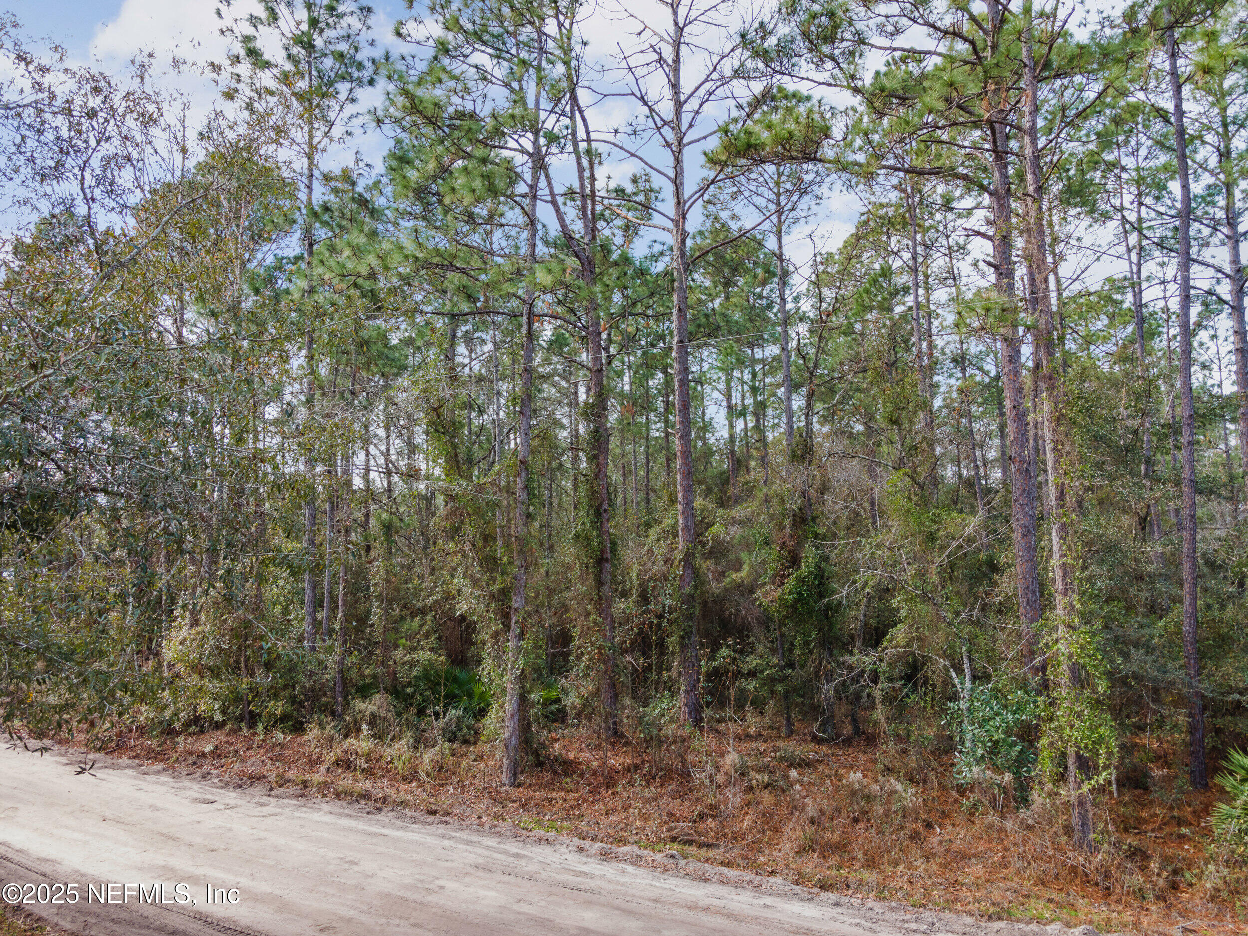 Lot 37 Franklin Road Hilliard, FL 32046 - Photo 6 of 9 6_05