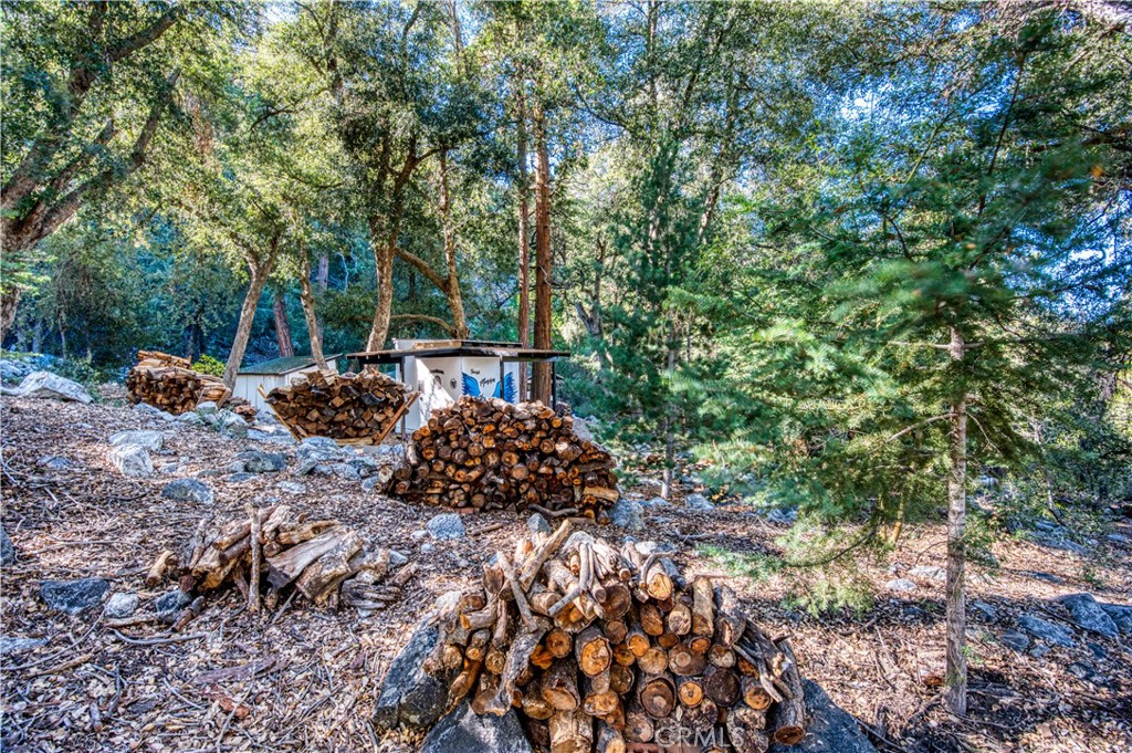 9287 Corral Road Forest Falls, CA 92339 - Photo 15 of 26 a backyard of a house with lots of green space