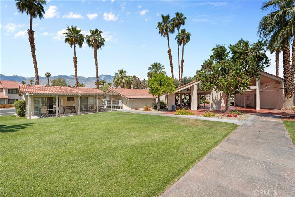 6134 Arroyo Road, Unit 3 Palm Springs, CA 92264 - Photo 29 of 35 front view of a house with a yard and palm trees