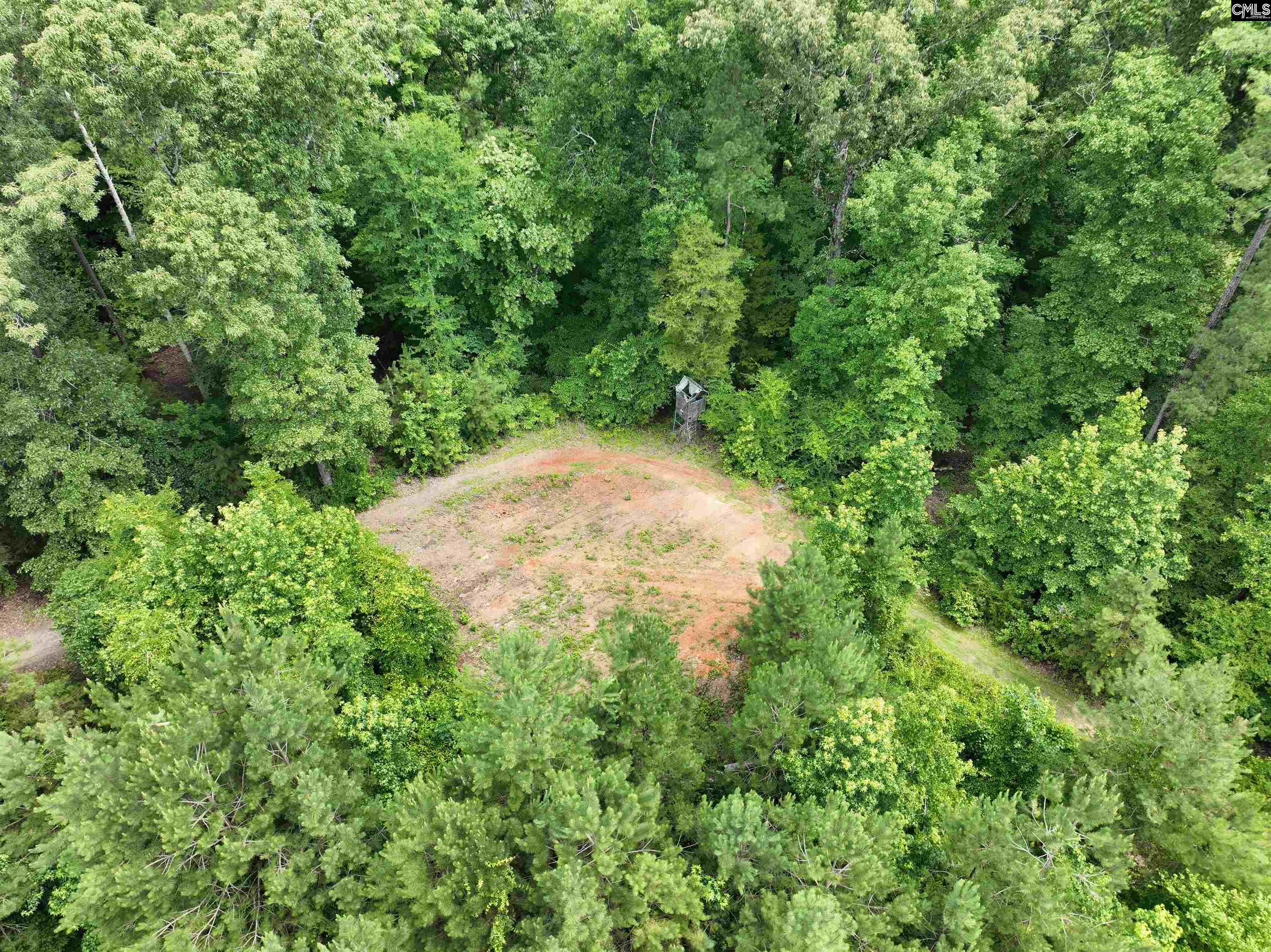 0 Rocky Branch Road Little Mountain, SC 29075 - Photo 15 of 24 a view of a yard with a tree