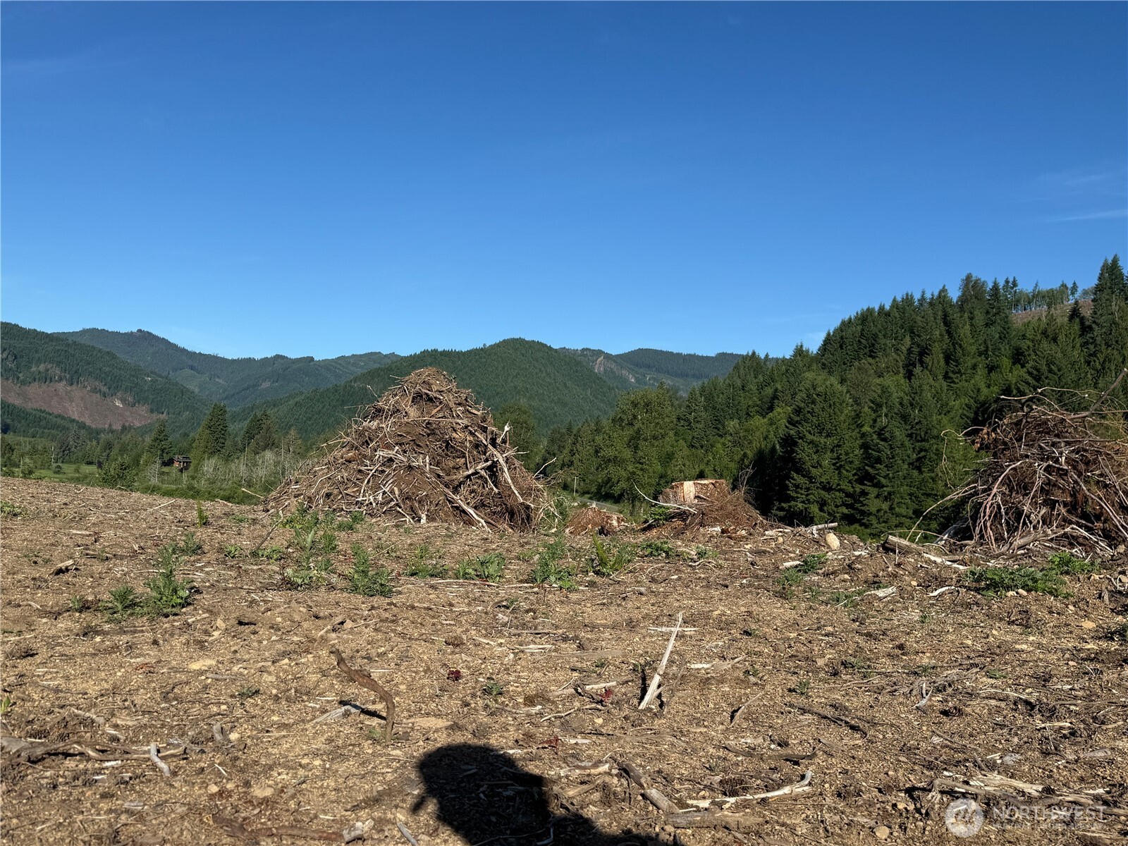 215 Mineral Road North Mineral, WA 98355 - Photo 22 of 29