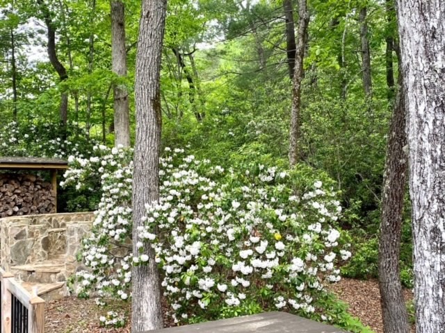 300 Whispering Falls Road Pickens, SC 29671 - Photo 7 of 46 Gallery Image 7