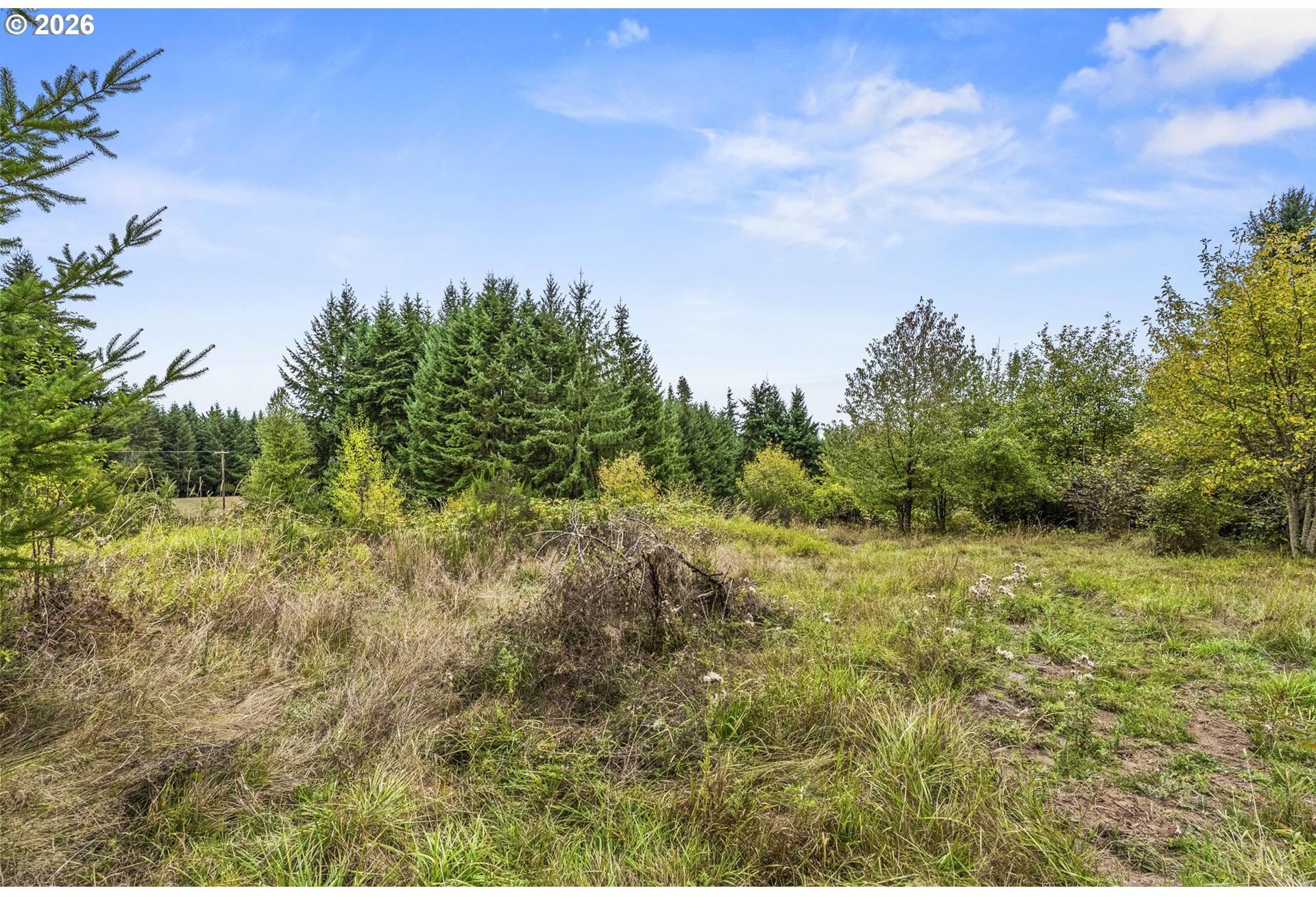69865 Walker Road Rainier, OR 97048 - Photo 19 of 36 Gallery Image 19