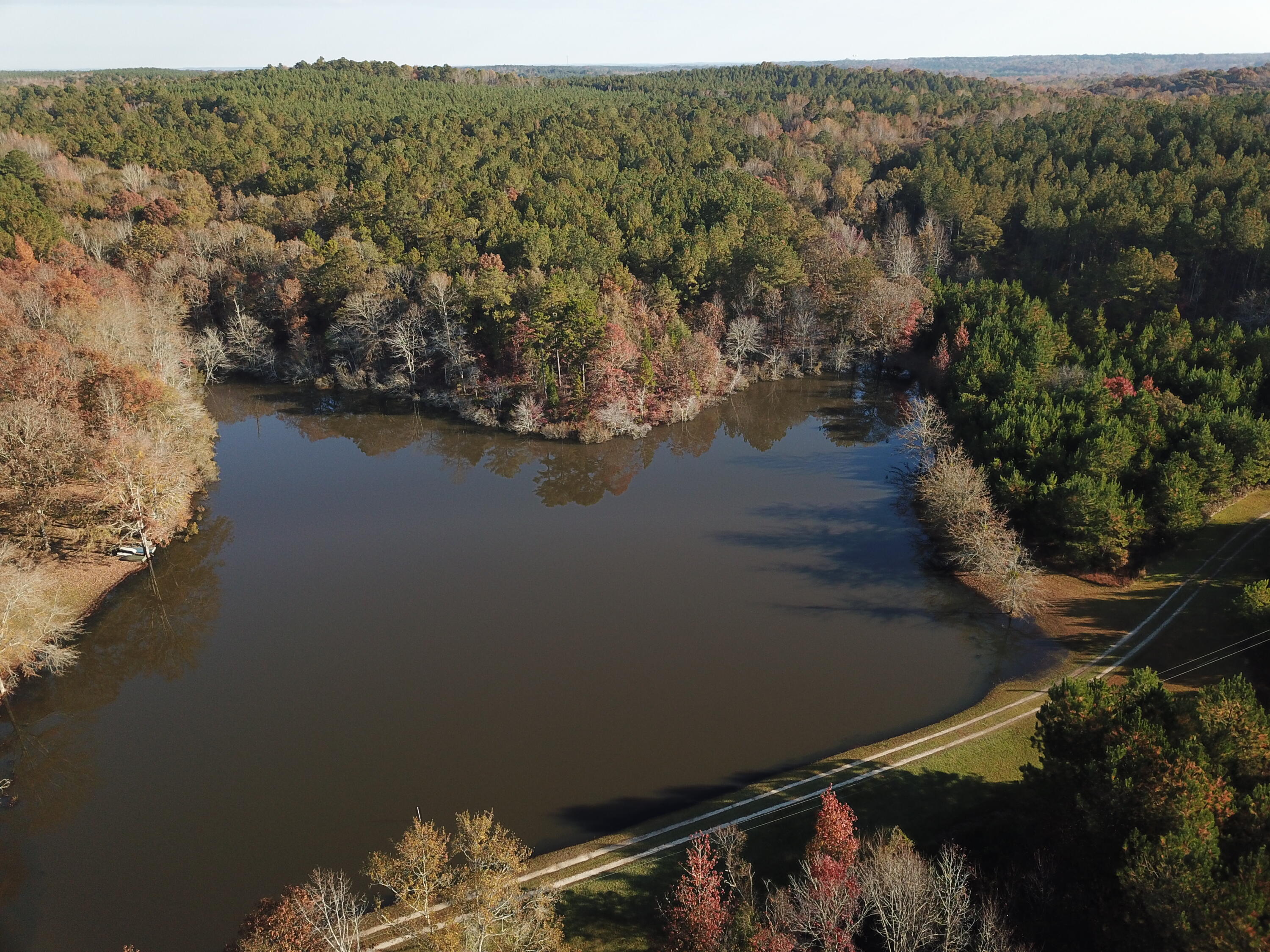 17 /- Acres On Cty Road LaFayette, AL 36862 - Photo 1 of 1 Gallery Image 1