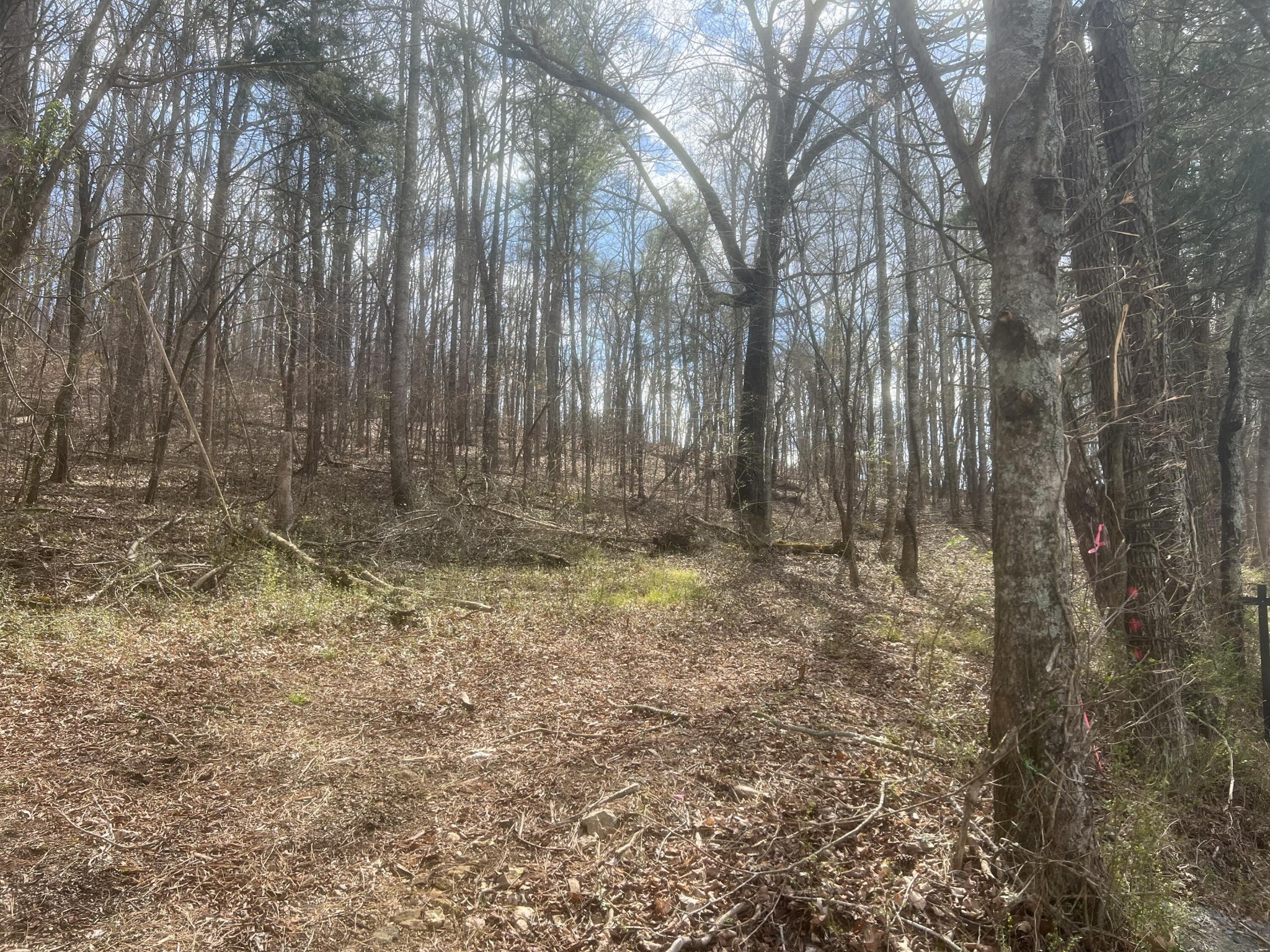 3 Candies Creek Ridge Road Northwest Cleveland, TN 37312 - Photo 2 of 4 a view of room with trees