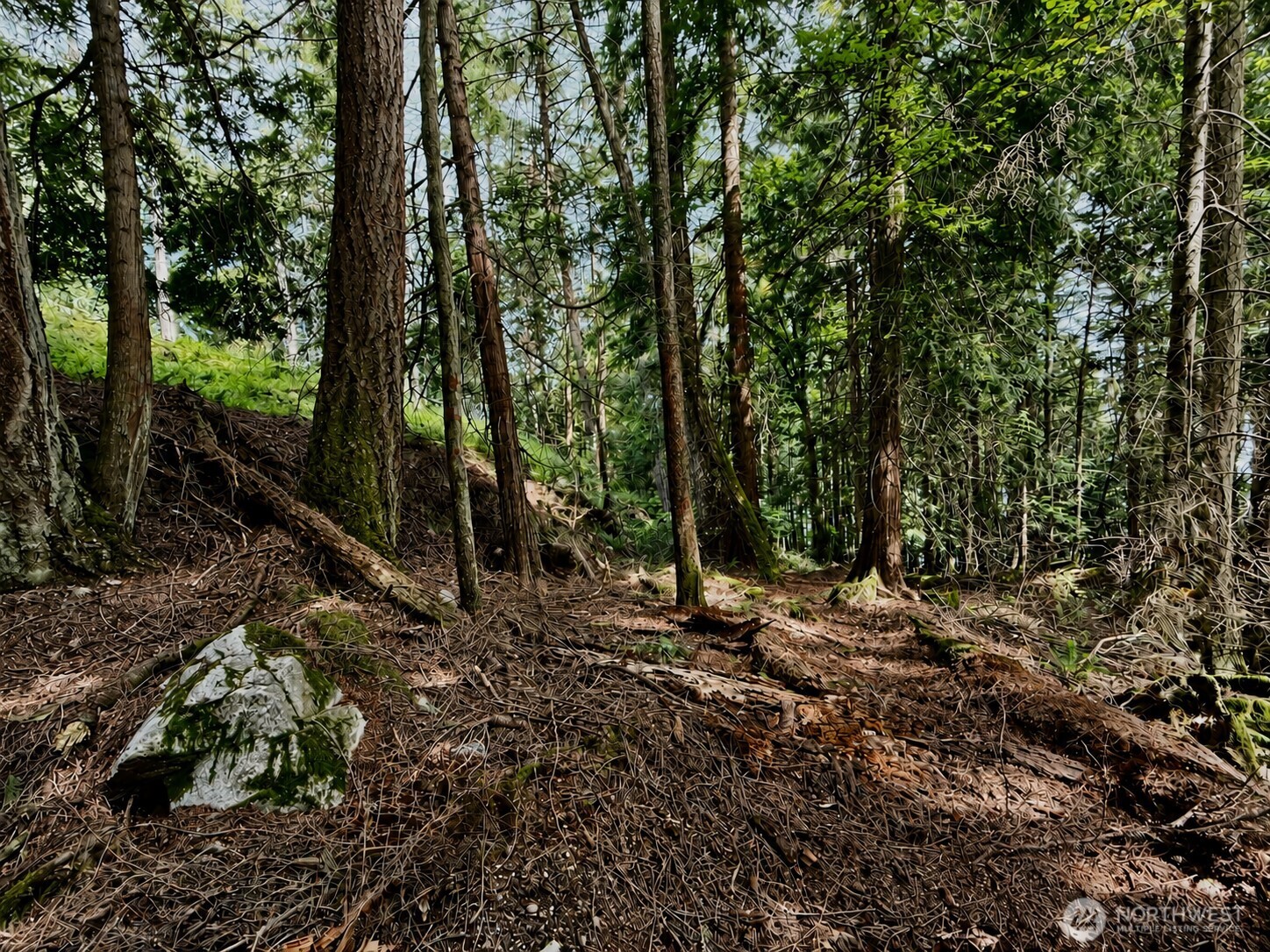 0 Lots 7-8 Newton Beach Road Shaw Island, WA 98286 - Photo 25 of 33