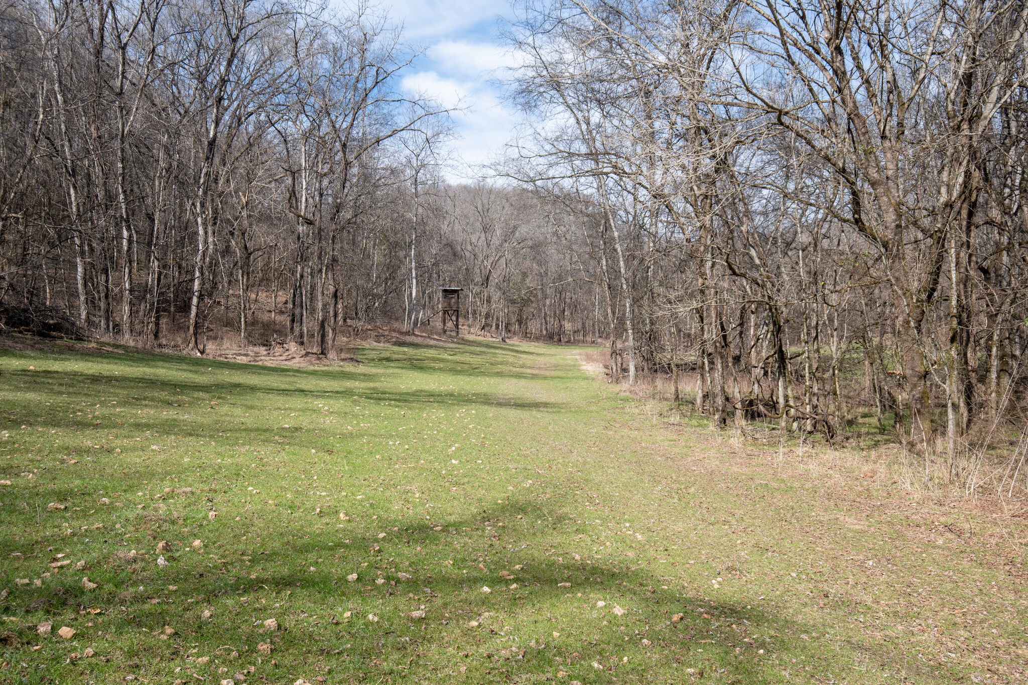 56 Stephens Creek Road Kelso, TN 37348 - Photo 38 of 47 a view of outdoor space with trees all around