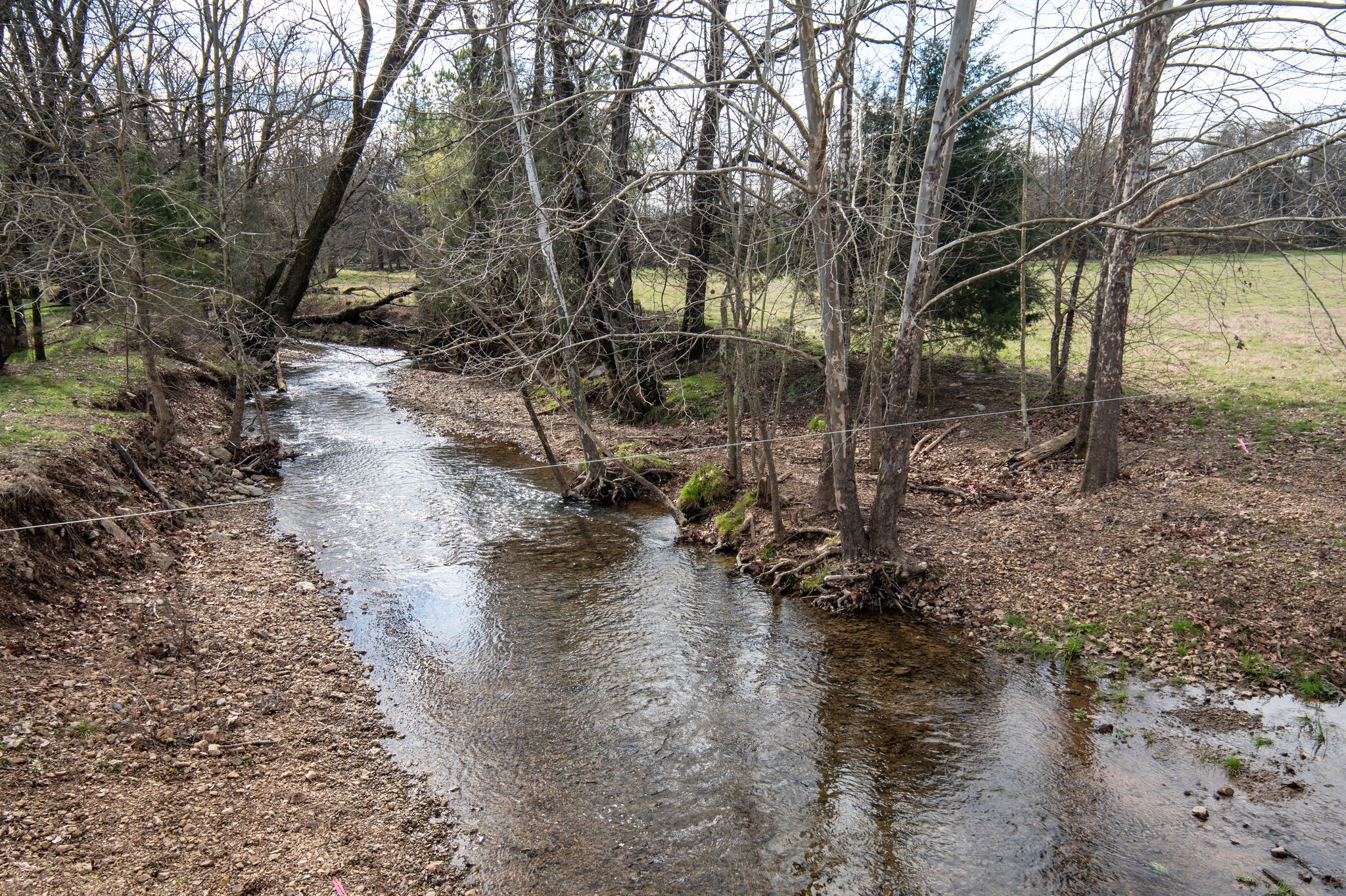 56 Stephens Creek Road Kelso, TN 37348 - Photo 41 of 47 a view of a yard with water view