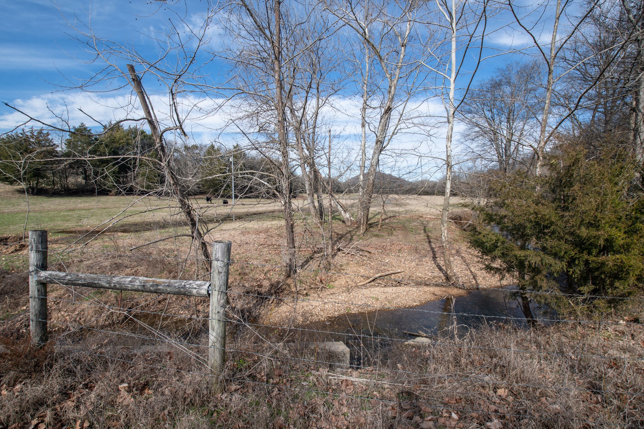 56 Stephens Creek Road Kelso, TN 37348 - Photo 42 of 47 a backyard of a house with lots of green space