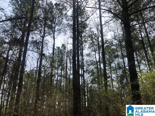 17 County Road, Unit 14 Roanoke, AL 36274 - Photo 1 of 4