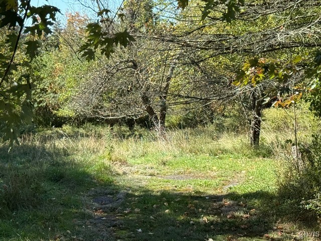 210 Hillside Avenue Oswego, NY 13126 - Photo 28 of 28