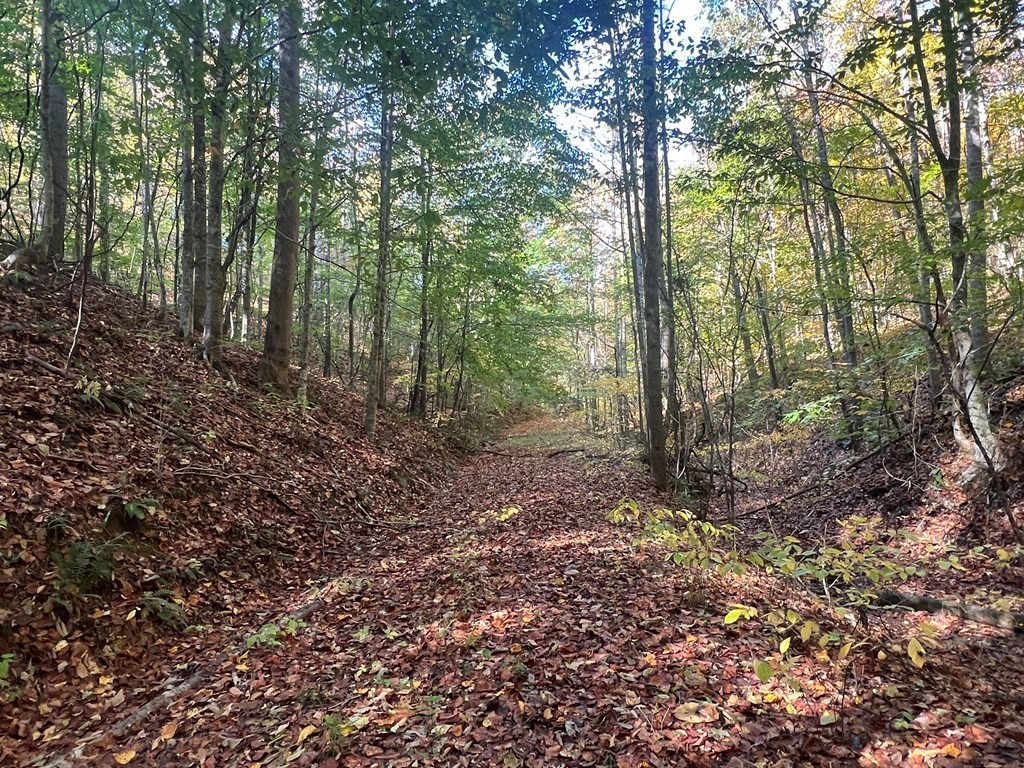 0 Manning Hollow Road Sevierville, TN 37876 - Photo 14 of 14