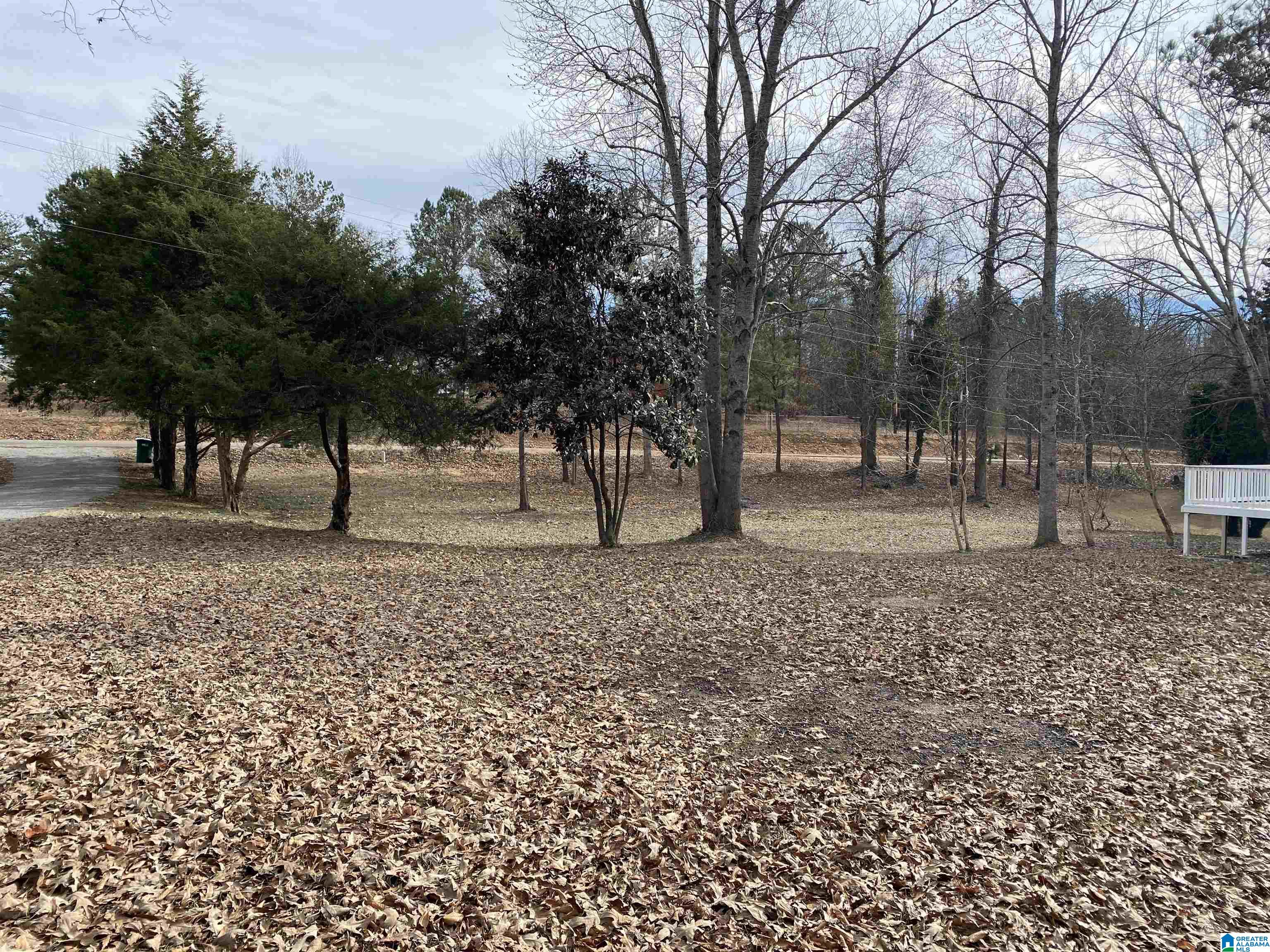 11440 Chigger Ridge Road Brookwood, AL 35444 - Photo 37 of 40
