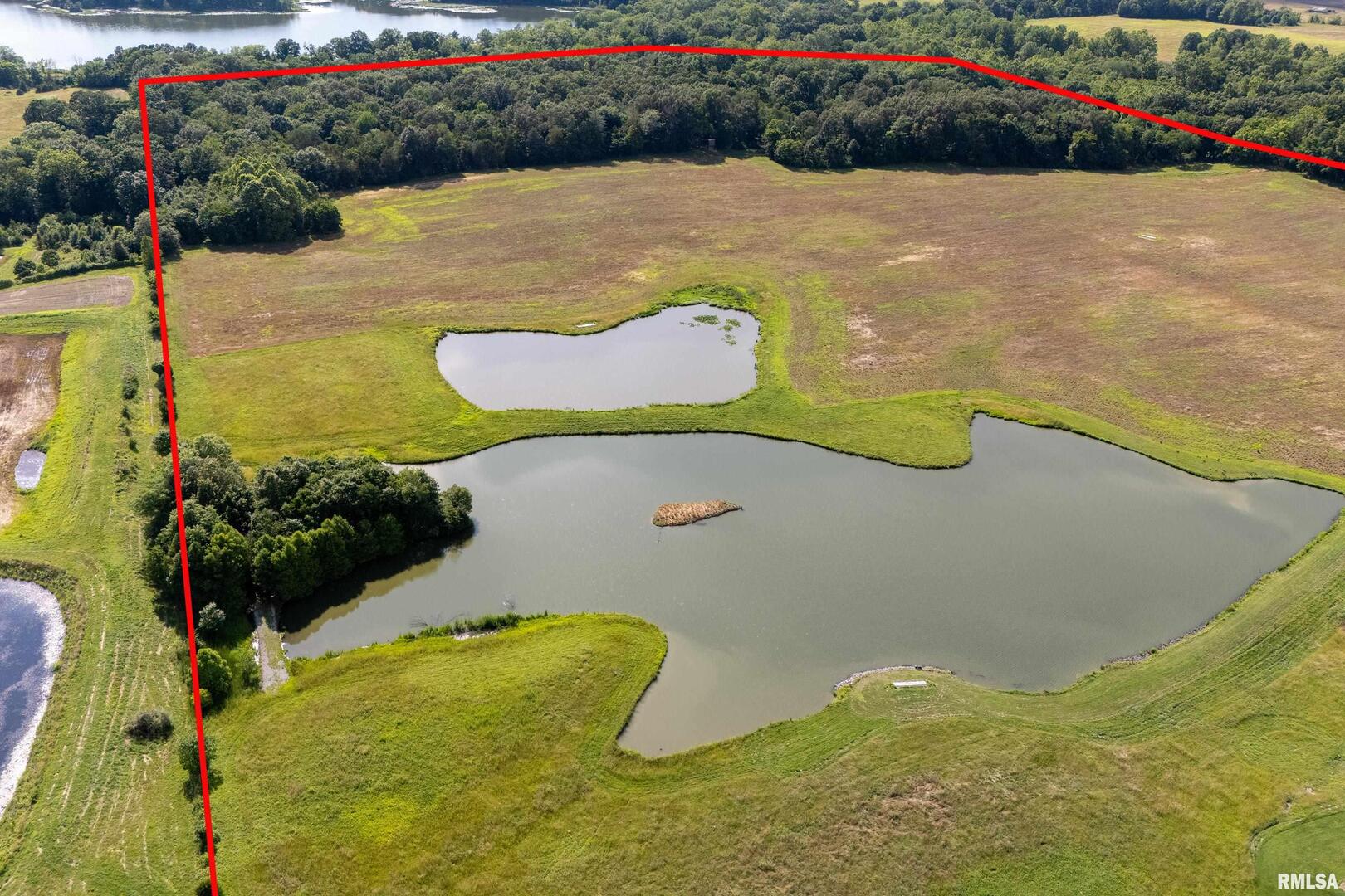 6001 Highway 37 Marion, IL 62959 - Photo 6 of 20 a view of a swimming pool