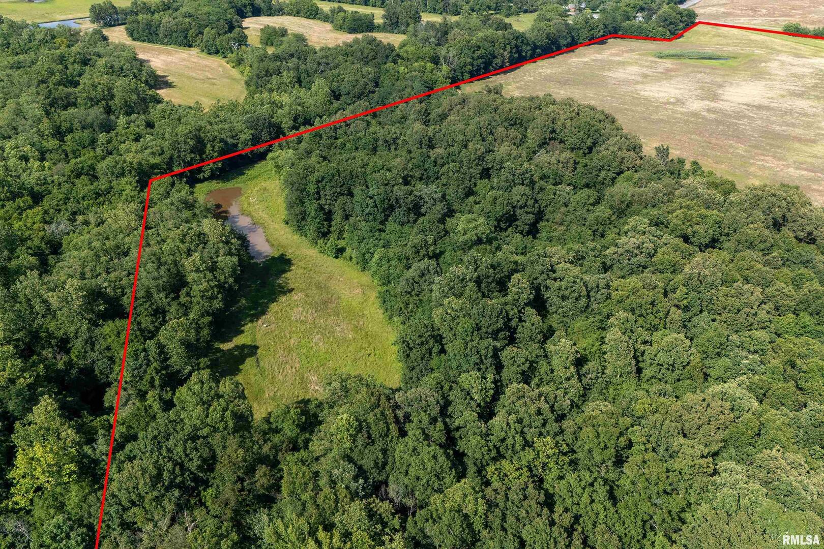 6001 Highway 37 Marion, IL 62959 - Photo 10 of 20 a view of a garden with a plant