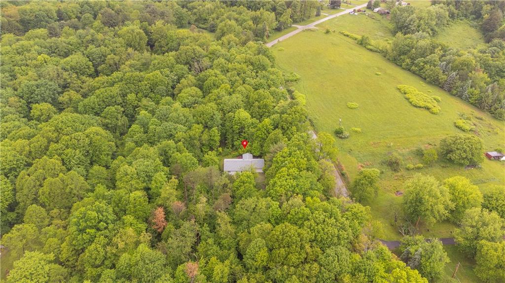 1860 Washington Road Apollo, PA 15613 - Photo 4 of 41 VERY Private 4.3 acres