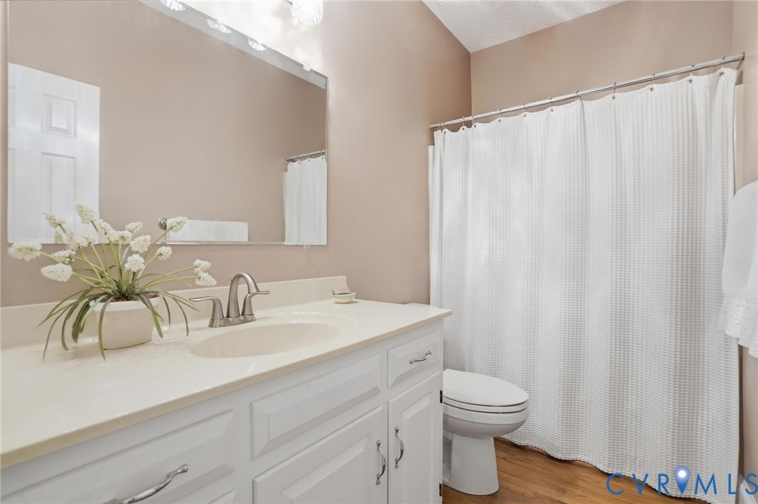 12123 Deer Ridge Court Ashland, VA 23005 - Photo 28 of 63 a bathroom with a sink a toilet and a mirror