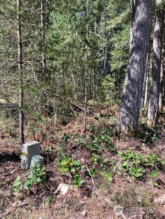$69,900 | 131 Rainbow Way East, Hoodsport, WA 98548