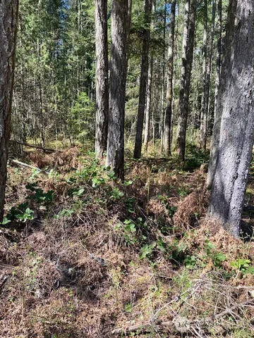 $69,900 | 131 Rainbow Way East, Hoodsport, WA 98548