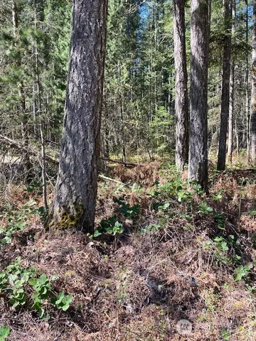 $69,900 | 131 Rainbow Way East, Hoodsport, WA 98548