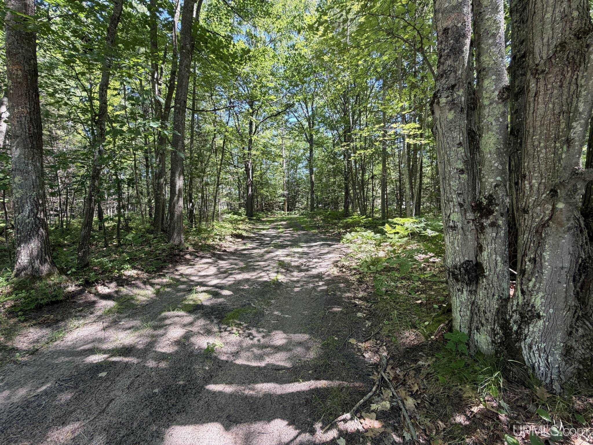 8923 .25 Road Garden, MI 49835 - Photo 29 of 37