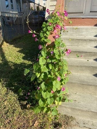 7-9 Ledyard Street Springfield, MA 01104 - Photo 4 of 31