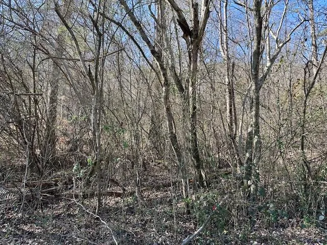 $35,000 | 11439 Higdon Street, Soddy Daisy, TN 37379