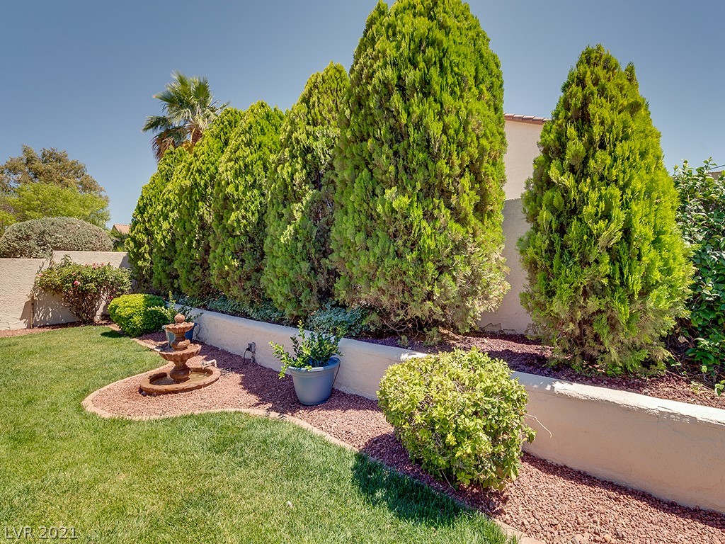 739 Roddenberry Avenue Las Vegas, NV 89123 - Photo 41 of 45