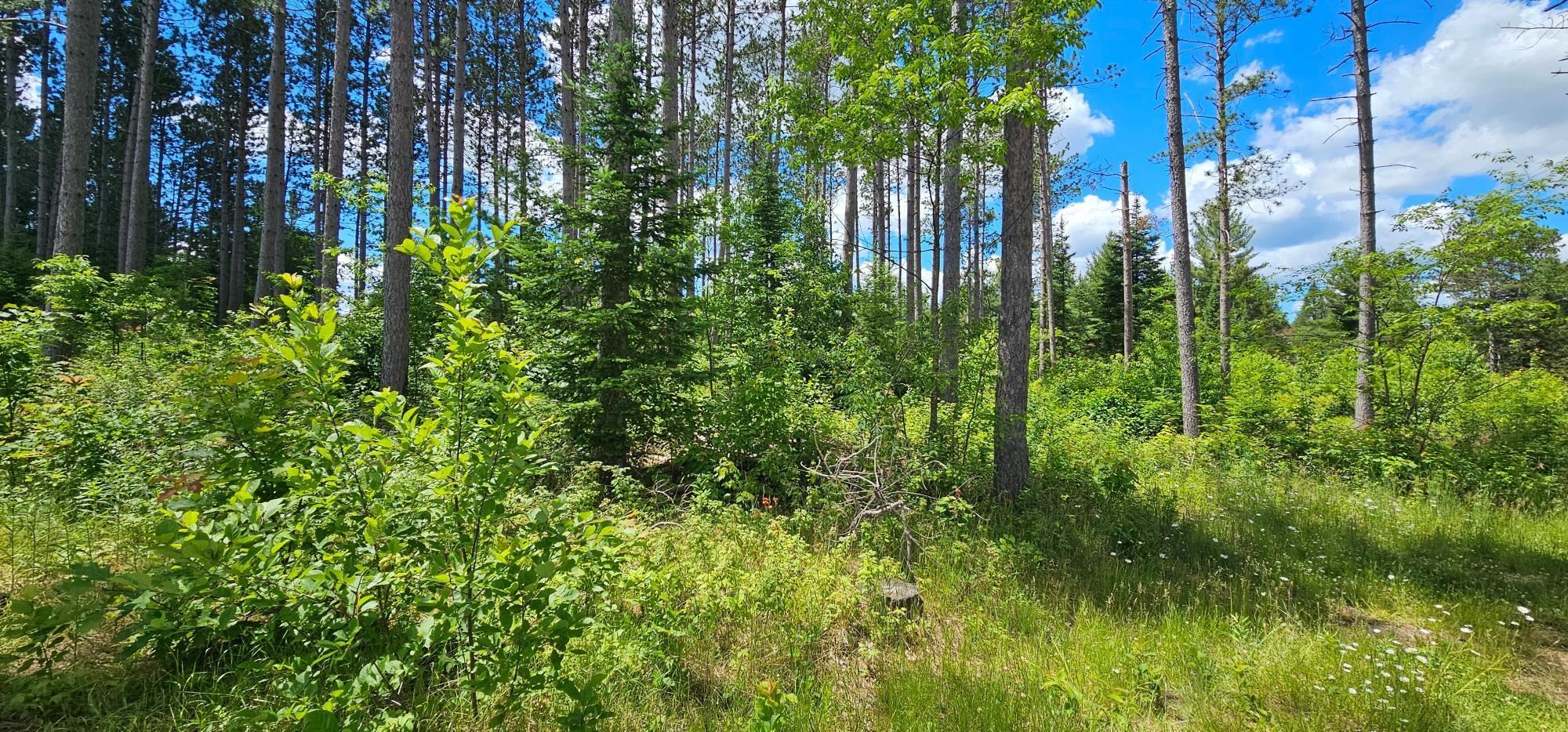 Lot 3 Baade Road Rhinelander, WI 54501 - Photo 9 of 9