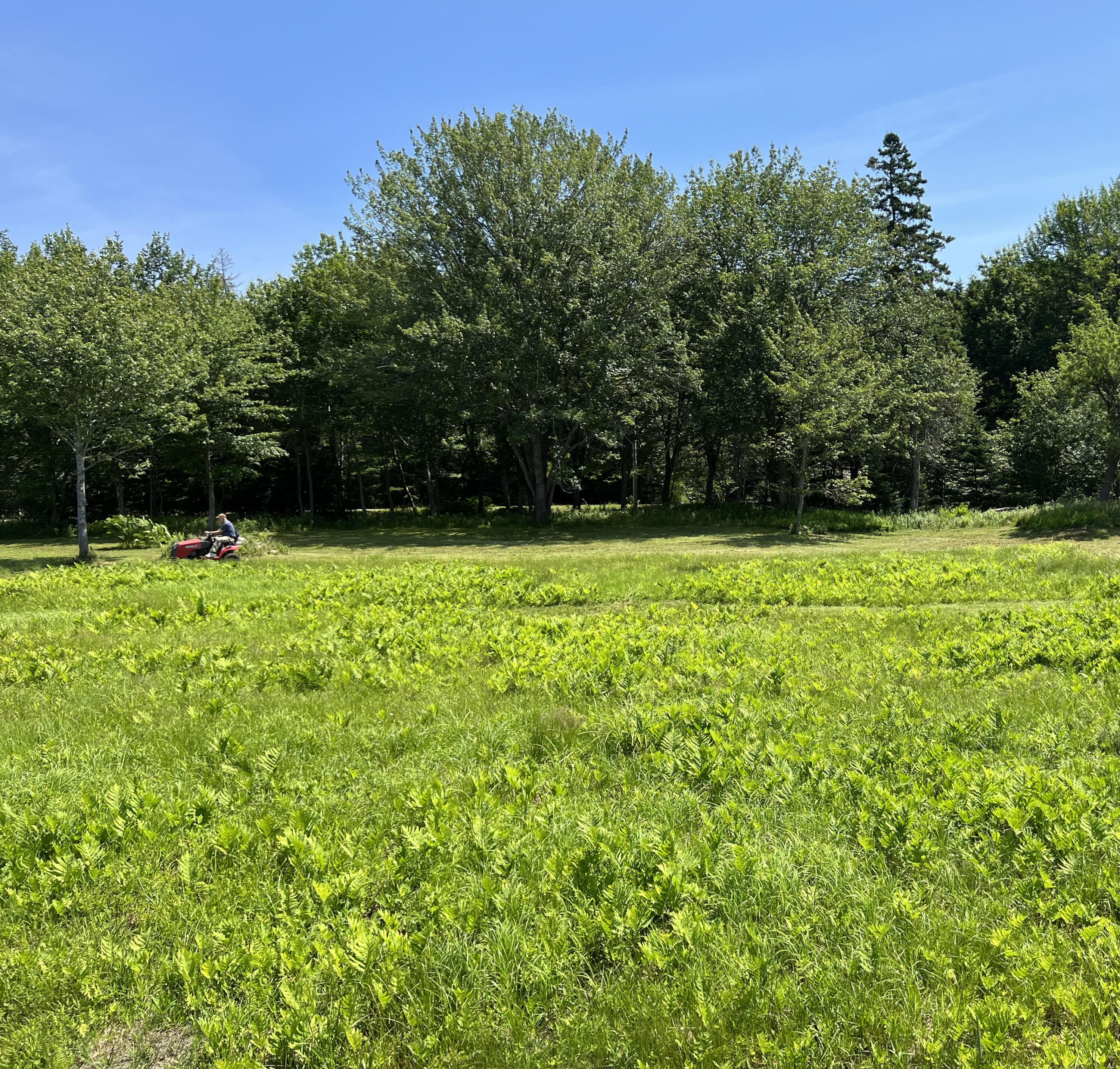 821 Tremont Road Tremont, ME 04674 - Photo 2 of 11 Land