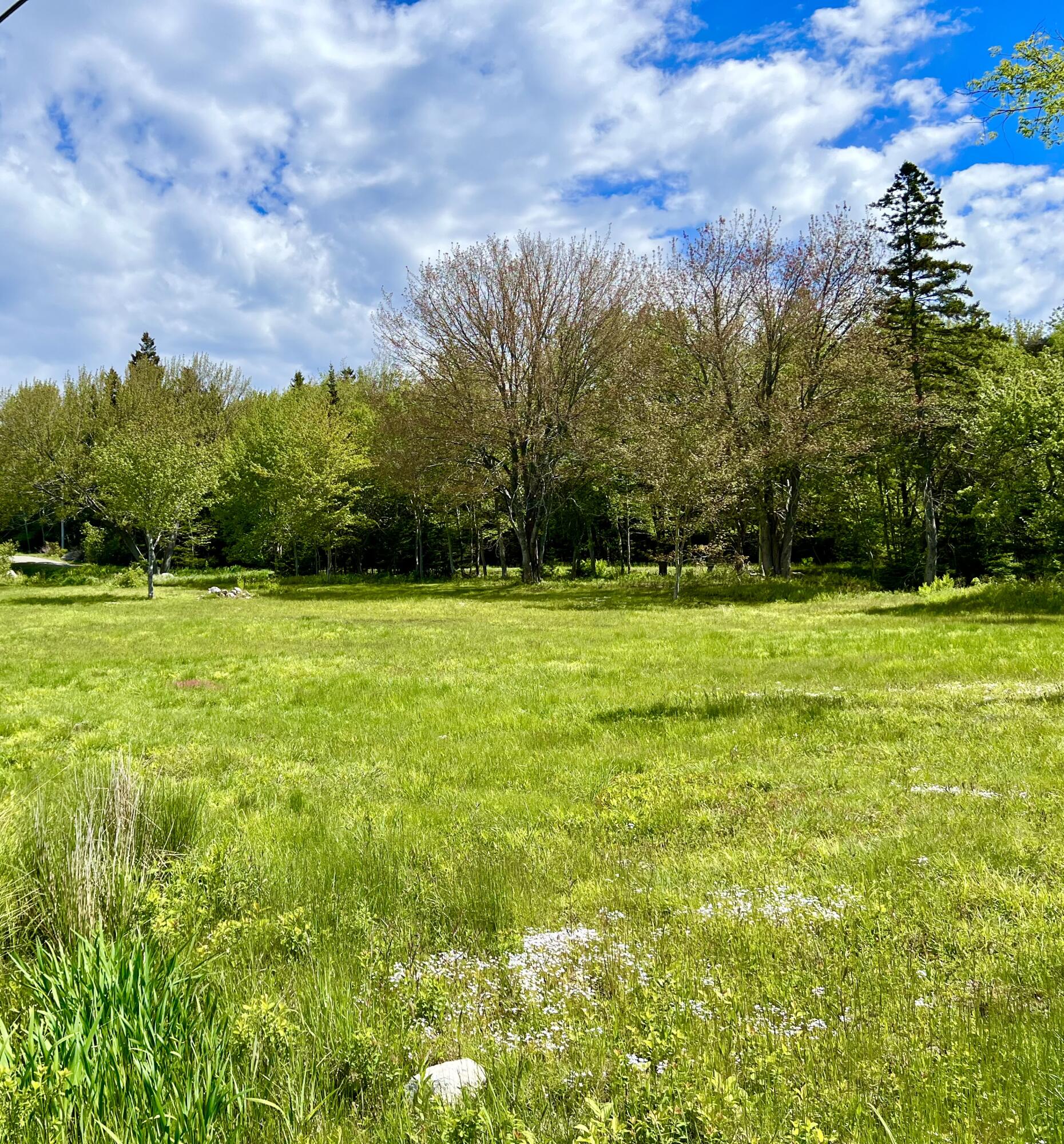 821 Tremont Road Tremont, ME 04674 - Photo 3 of 11 821 Tremont Road