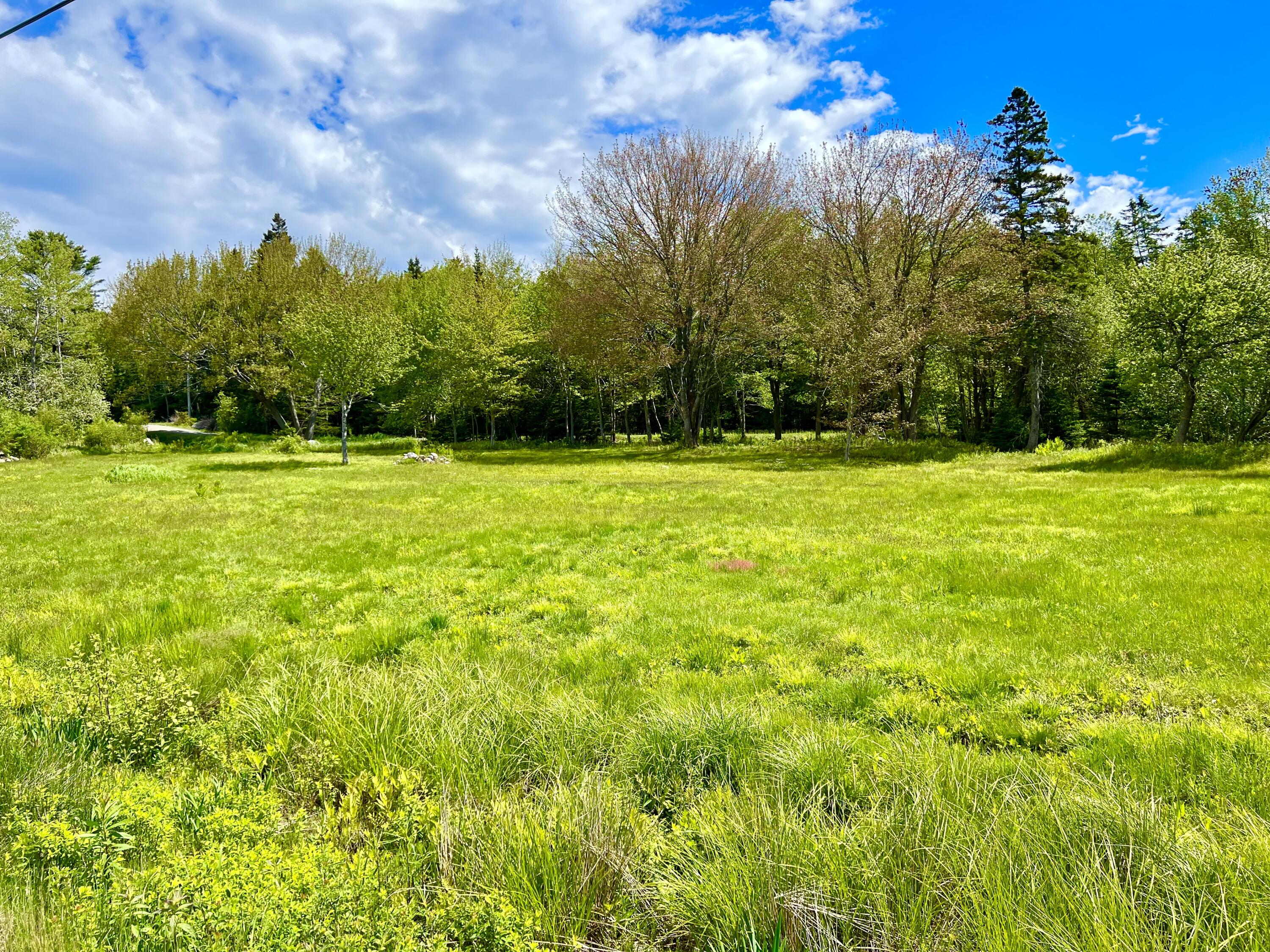 821 Tremont Road Tremont, ME 04674 - Photo 5 of 11 821 Tremont Road