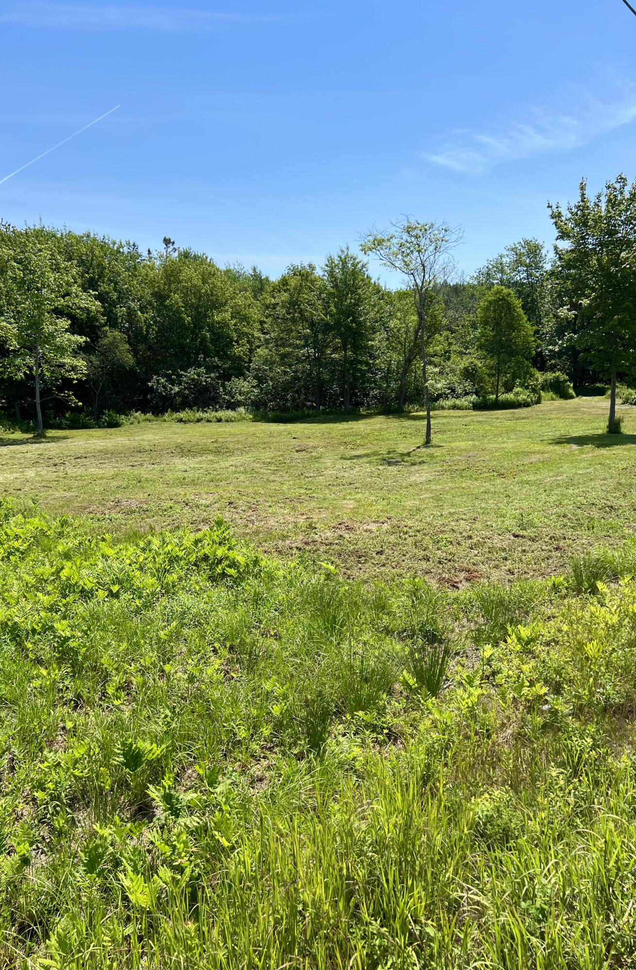 821 Tremont Road Tremont, ME 04674 - Photo 7 of 11 Land