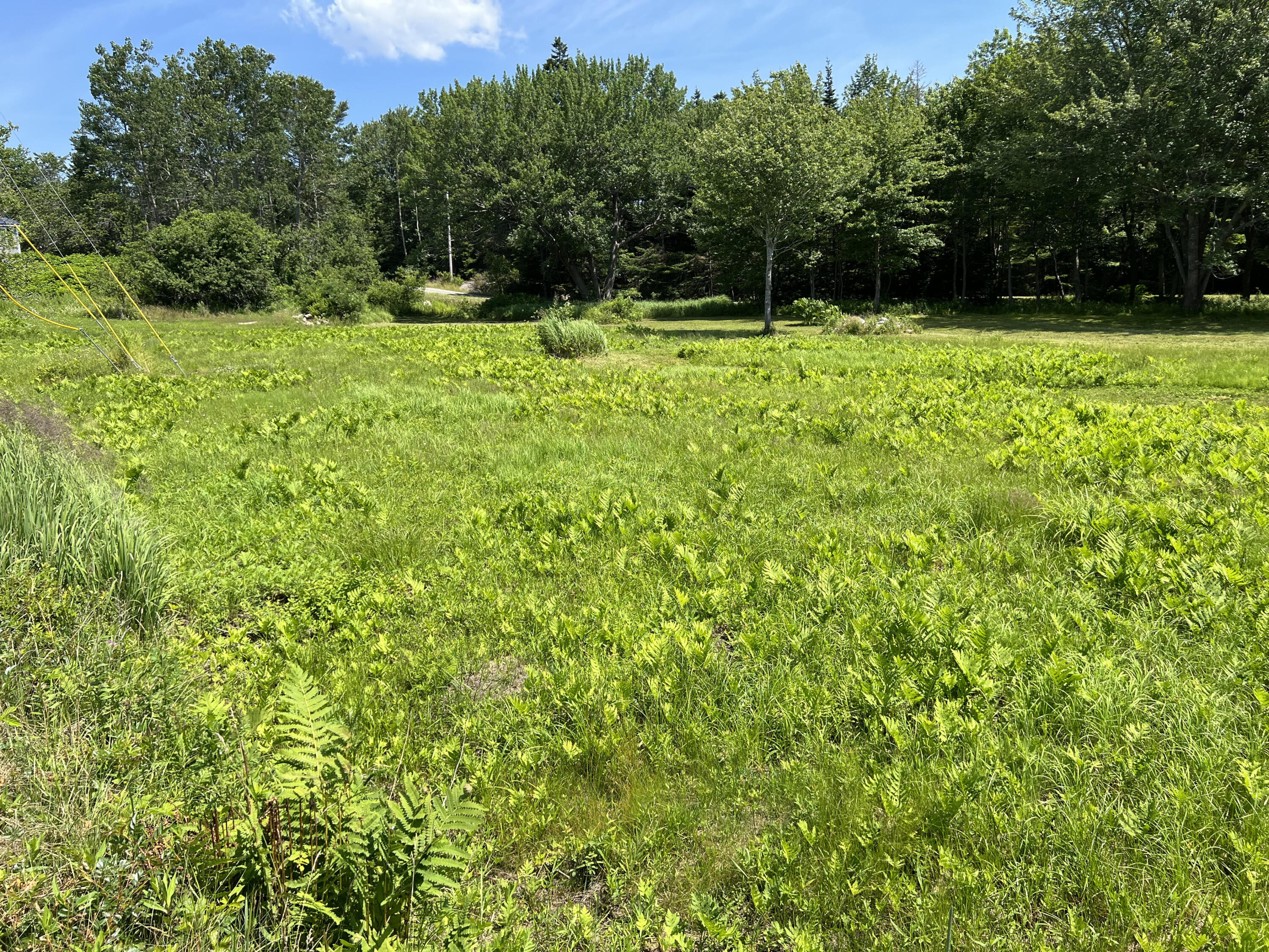 821 Tremont Road Tremont, ME 04674 - Photo 8 of 11 Land