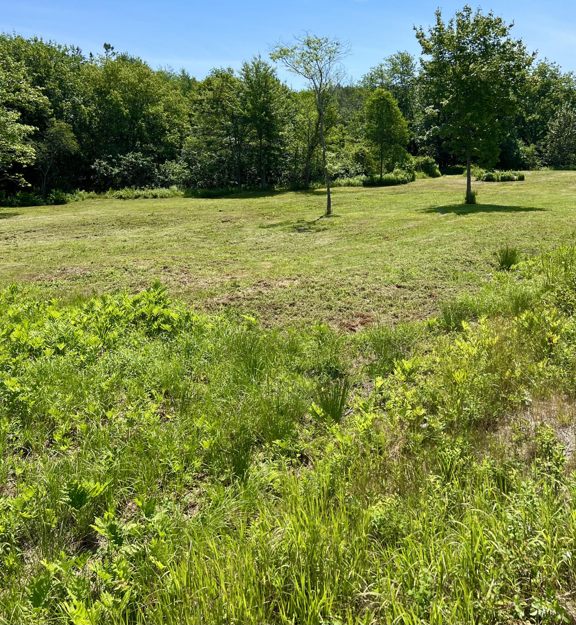 821 Tremont Road Tremont, ME 04674 - Photo 9 of 11 Land