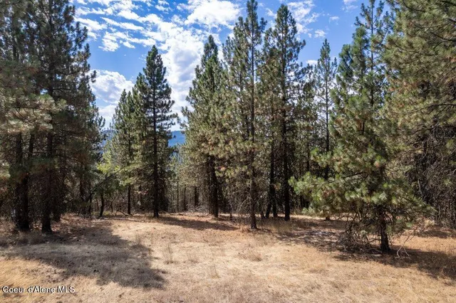 $83,750 | Nka East Holiday Road, Harrison, ID 83833