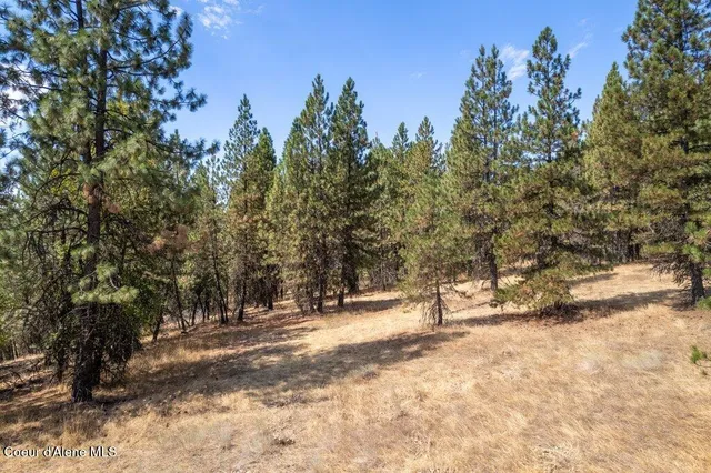 $83,750 | Nka East Holiday Road, Harrison, ID 83833