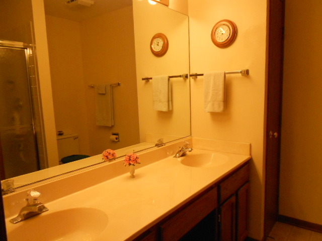 454 Prairieview Drive Oswego, IL 60543 - Photo 11 of 14 a bathroom with a sink and a mirror